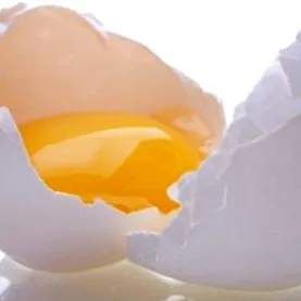 kiváló minőségű hogy tojásfehérje