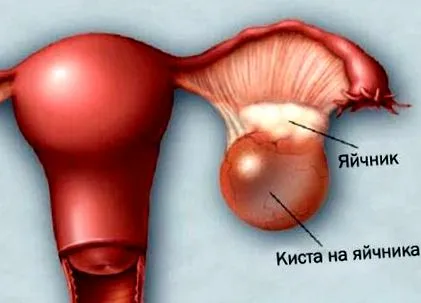 egészségüket