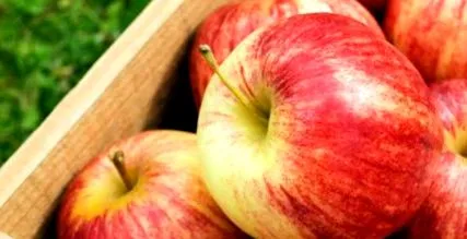 apple lefekvés