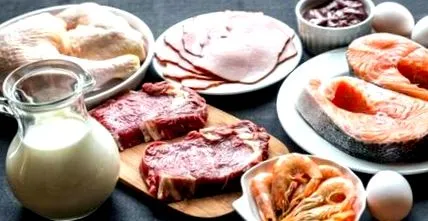 B12-vitamin vizsgálata vizsgálata