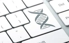 hogyan dns-tesztet