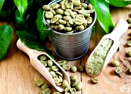 coffea kávéfa