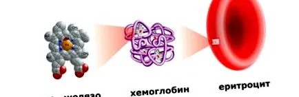 növelni hogyan