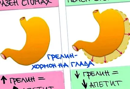 hogyan egészséges