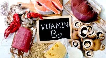 b12-vitamin határozza