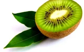 kiwi kiwi
