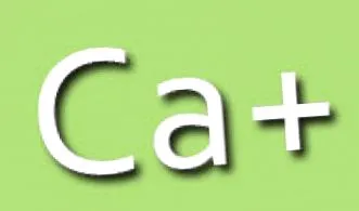 calcium calcium