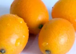 Kumquat fogyás fogyás miért
