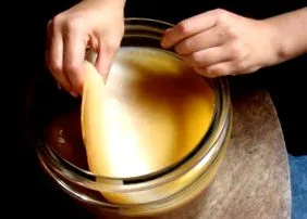 csodálatos teagomba