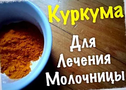 kurkuma rigó