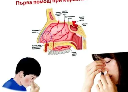 nyújtsunk elsősegélyt Hogyan nyújtsunk elsősegélyt