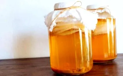 kombucha csodálatos