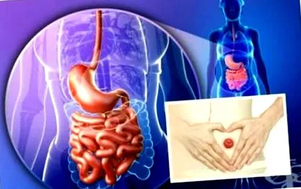 colostomia betegség folyamatának