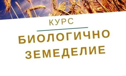 ökológiai