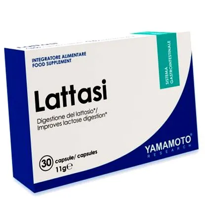 yamamoto