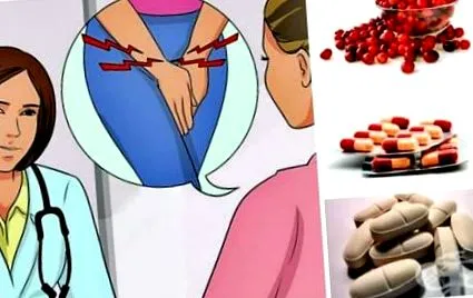 cystitis cystitis