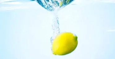 tippek