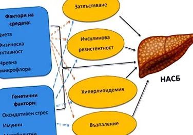 alkoholmentes alkoholmentes