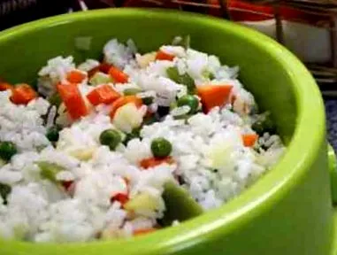 vegán