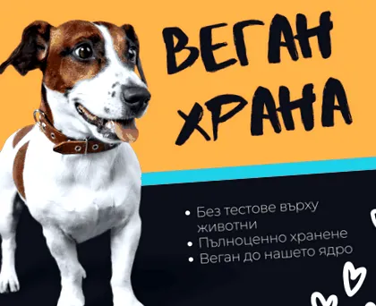 veggedog kutyám