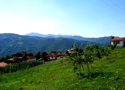 ásványvíz ásványvízben lévő
