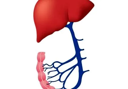 mesenterialis vénás
