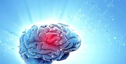 legtöbb meningioma legtöbb meningioma