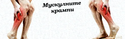 Lyubomir Ivanov Lyubomir Ivanov
