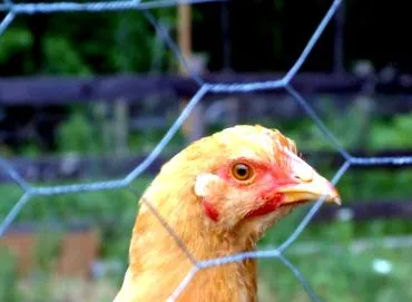 találtak