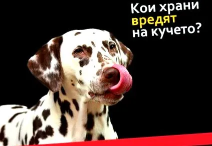élelmiszer amelyek