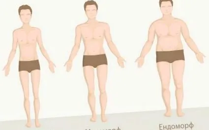4fitness 4fitness