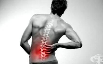 gerinc osteochondritis felnőtteknél gerinc