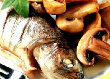 recept recept