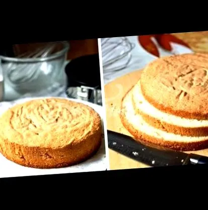soha tortaforma