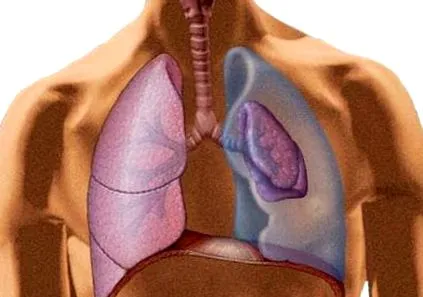 pneumothorax fiziológia