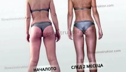 oktató oktató