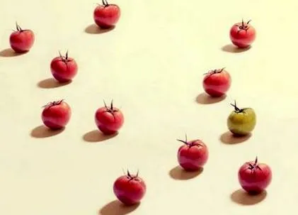 antioxidáns