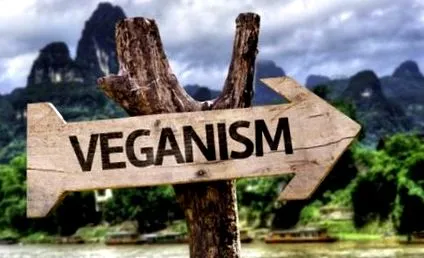 vegán étrend étrend