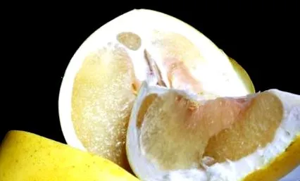 pomelo pomelo