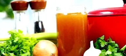 kombucha life