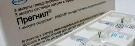 koriongonadotropin-hcg pregnyl