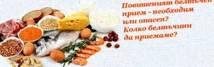 fehérjebevitel fehérjebevitel