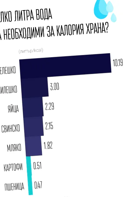 állati termékek étrend