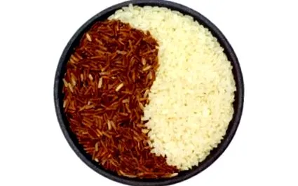 rizs teljes