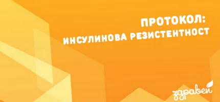 protokoll hello