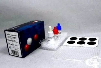 rheumatoid