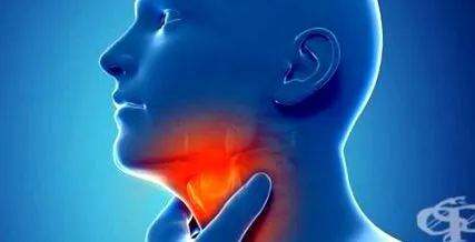 tünete reflux