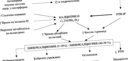 endokrin rendszer endokrin