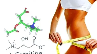 l-carnitine