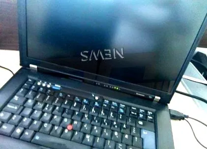 csaknem